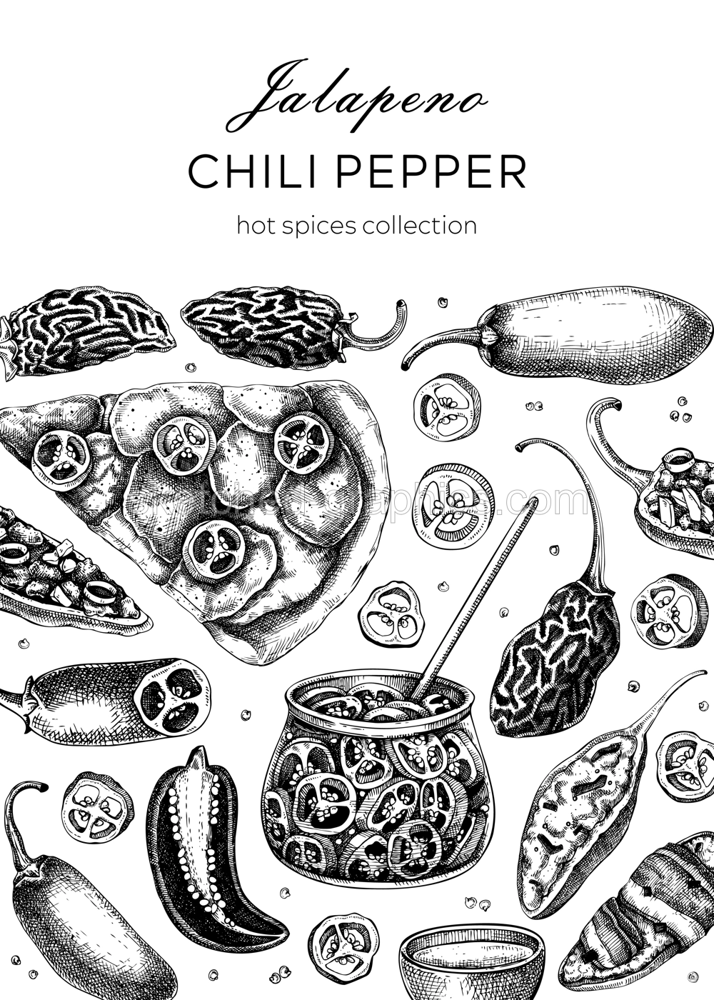  Mexican cuisine menu restaurant design template. Ripe jalapeno chili pepper sketches. Hot spices, vegetarian, healthy food hand drawn vector illustration. Jalapeno with slices and seeds for packaging Illustration